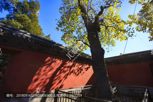 北京,頤和園,皇家園林,昆明湖,萬壽山,長廊,古建筑