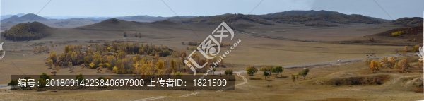 壩上,河北,草原,自然