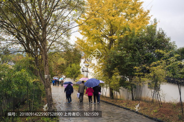 安徽,涇縣,桃花潭,小溪,徽居,古韻,山水,早晨