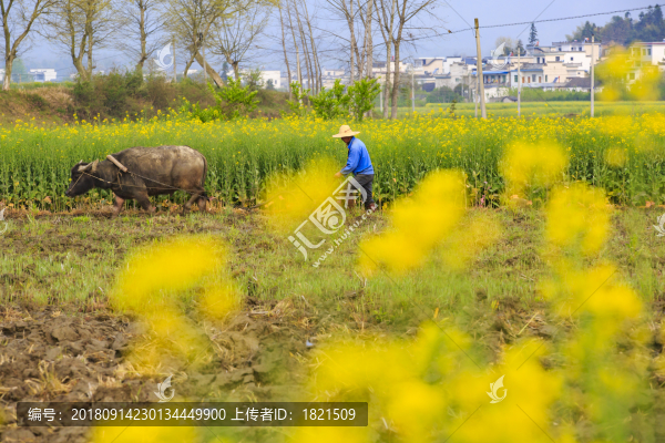 安徽,黟縣,盧村,古村,民居