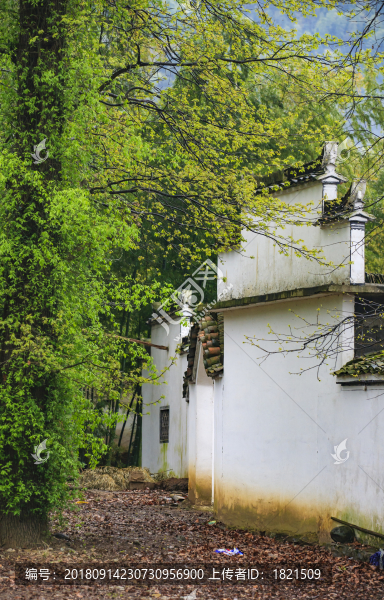 安徽,黟縣,柯村,鄉(xiāng)村