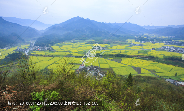 安徽,黟縣,柯村,鄉(xiāng)村