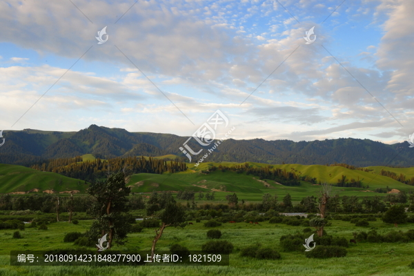 新疆旅游