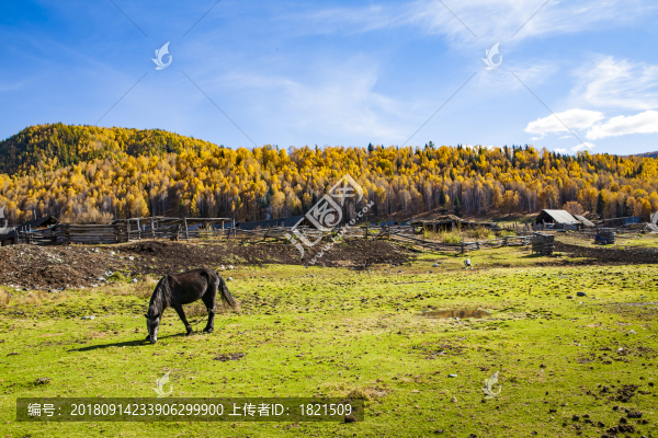 新疆,旅游