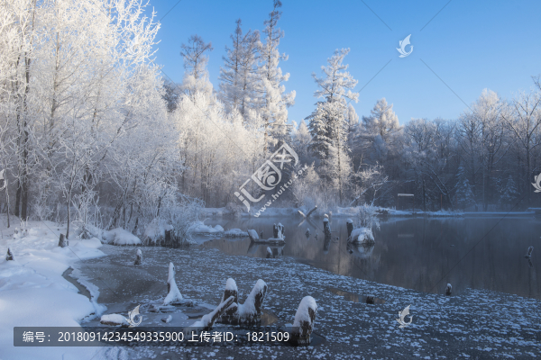 林海,雪原,大雪,晨霧,霧凇,潔白,純凈,童話,夢(mèng)幻,寒冷