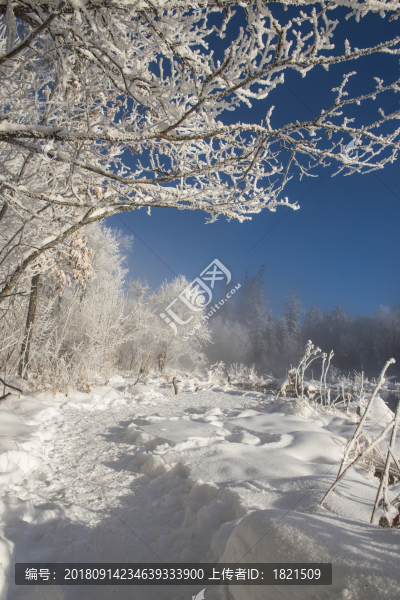 林海,雪原,大雪,晨霧,霧凇,潔白,純凈,童話,夢幻,寒冷