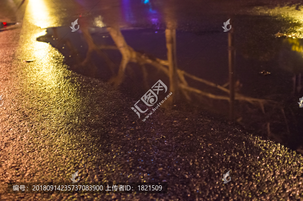 江蘇,南京,玄武湖,湖面,荷塘,水,波紋,船