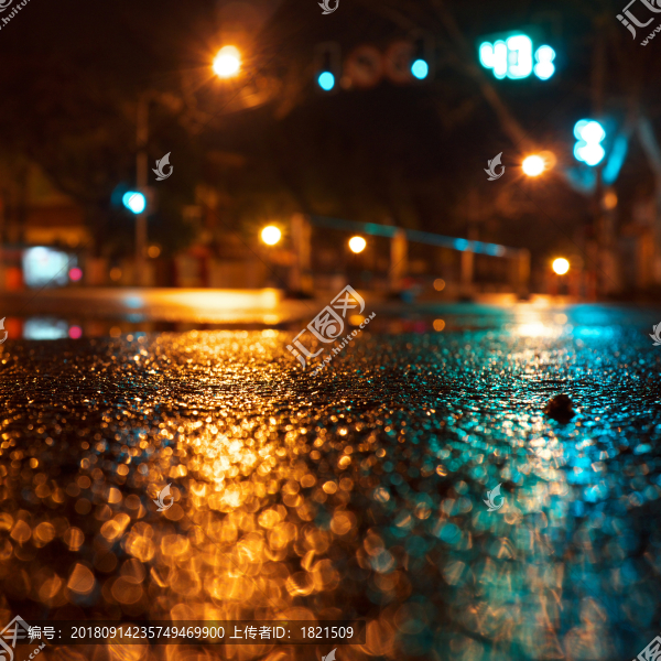 江蘇,南京,街頭,夜色,燈光,樹影,影子,水,雨后,路面