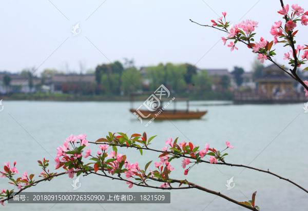 江南春色