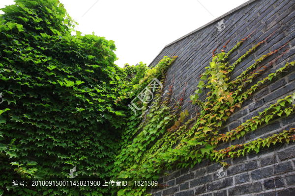 江蘇唐城遺址