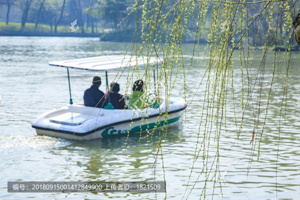 江蘇,揚(yáng)州,瘦西湖,春天,旅游