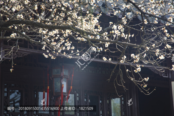 江蘇,揚州,瘦西湖,春天,旅游