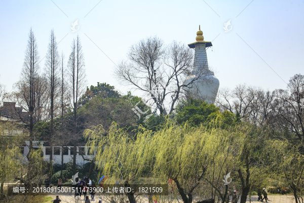 江蘇,揚(yáng)州,瘦西湖,春天,旅游