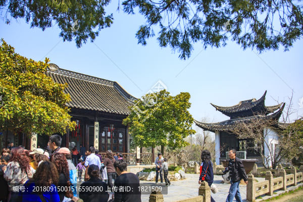 江蘇,揚州,瘦西湖,春天,旅游