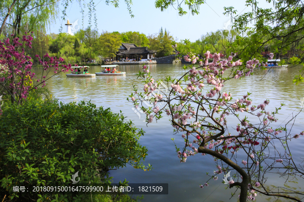 江蘇,揚(yáng)州,瘦西湖,春天,旅游