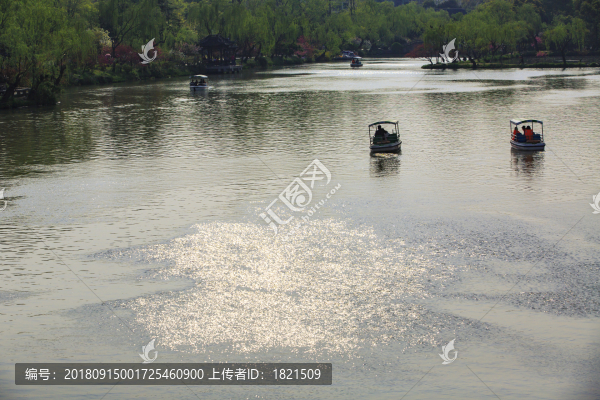 江蘇,揚(yáng)州,瘦西湖,春天,旅游