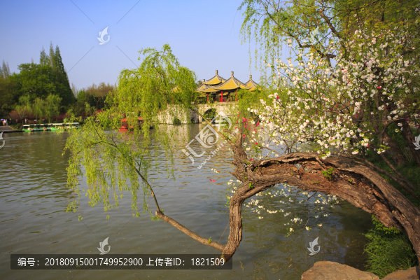 江蘇,揚州,瘦西湖,春天,旅游