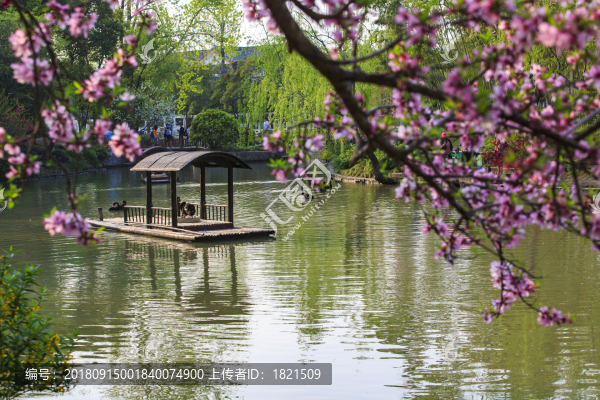 江蘇,揚州,瘦西湖,春天,旅游