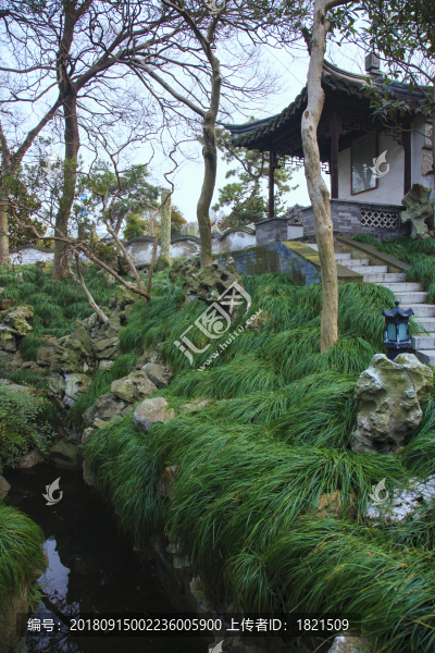 江蘇,泰州,喬園景區(qū),園林,古建筑,傳統(tǒng),格局,水榭樓臺