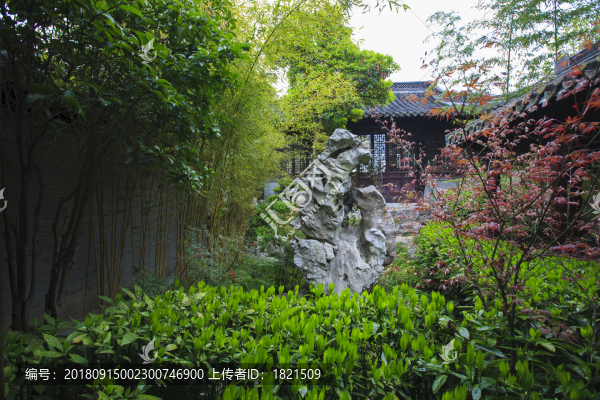 江蘇,泰州,喬園景區(qū),園林,古建筑,傳統(tǒng),格局,水榭樓臺