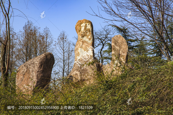 江蘇,泰州,鳳城河,老街,古建筑,傳統(tǒng)
