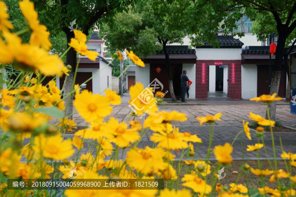 震澤古鎮(zhèn)
