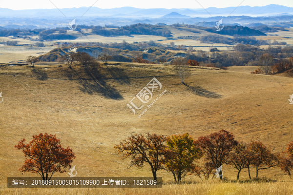 河北,承德,塞罕壩,壩上,草原,原野,戶外,自然,秋色