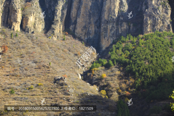 河南,林州,太行大峽谷,太行山,景區(qū),王相巖,豬叫石,峽谷,桃花谷,巖石