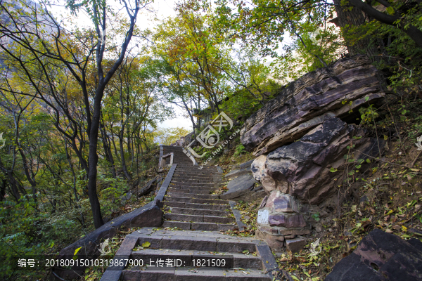 河南,林州,太行大峽谷,太行山,景區(qū),王相巖,豬叫石,峽谷,桃花谷,巖石