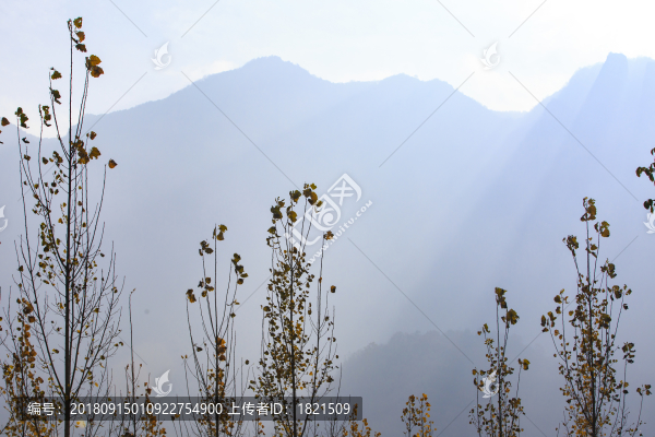 河南,林州,太行山,石板巖,峽谷,秋色,山