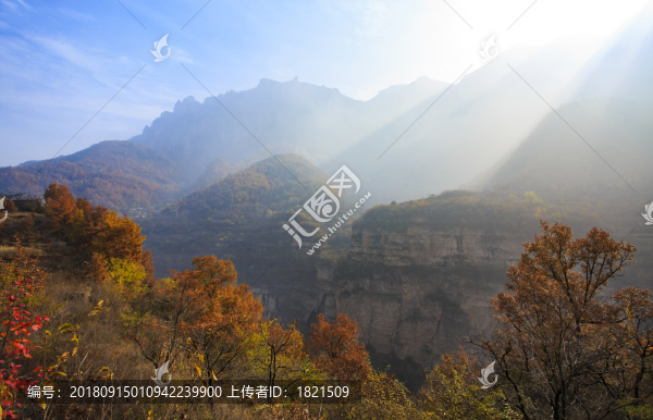 河南,林州,太行山,石板巖,峽谷,秋色,山