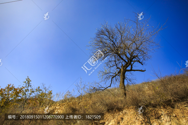 河南,林州,太行山,石板巖,峽谷,秋色,山