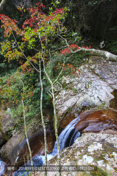 浙江,麗水,遂昌,千佛山,彌勒佛,山,水