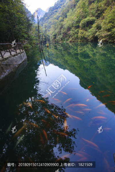 浙江,麗水,遂昌,千佛山,彌勒佛,山,水