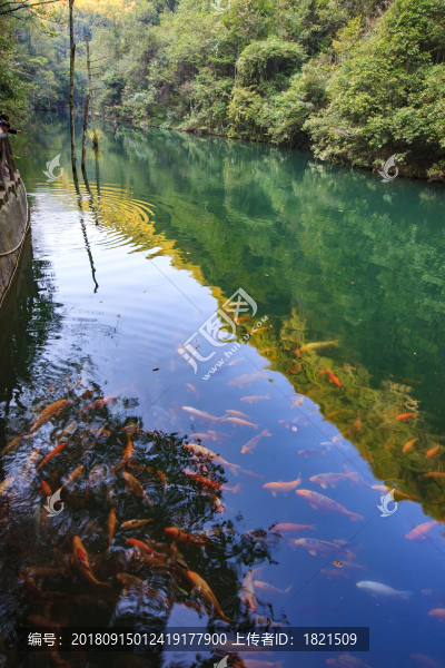浙江,麗水,遂昌,千佛山,彌勒佛,山,水