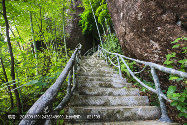 浙江,麗水,遂昌,南尖巖,景區(qū),森林,云海,山村