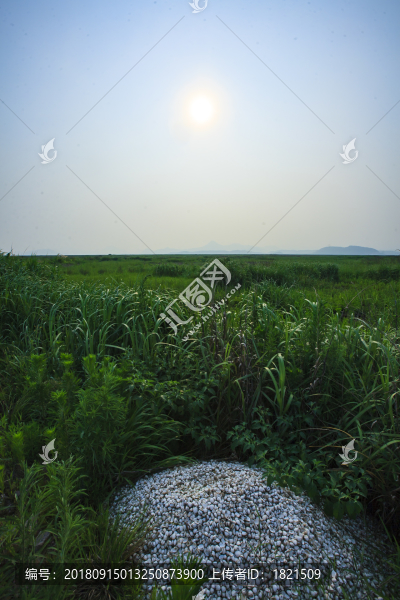浙江,臺州,三門,蛇蟠島景區(qū),千洞島,采石場,巖洞,海島,海盜邨