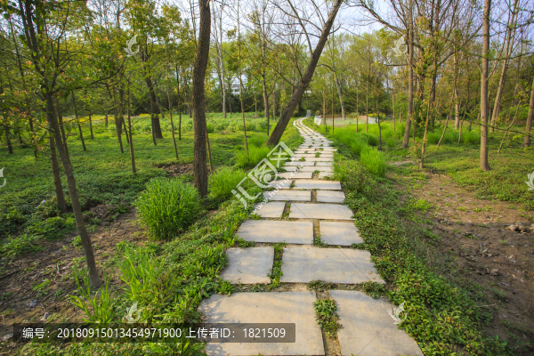 浙江,臺州,臨海,三江濕地公園,生態(tài),自然,道路,綠色,春天,青草