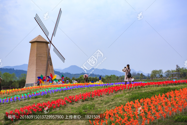 浙江,臺(tái)州,臨海,上江村,百花園,風(fēng)車(chē),春天,小溪,田園,鄉(xiāng)村