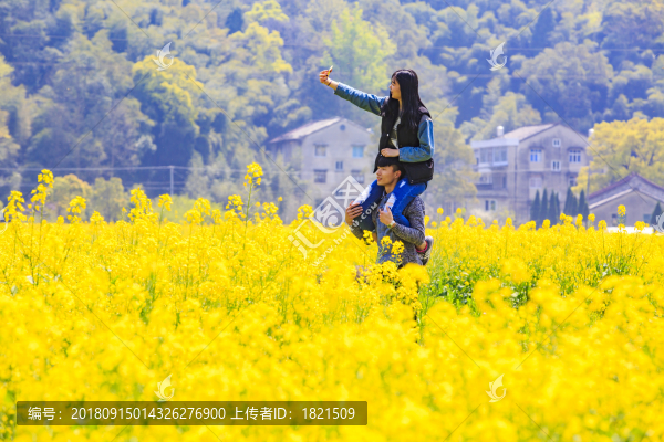 浙江,臺(tái)州,臨海,小溪鎮(zhèn),油菜花,小溪,稻田,春色,春天
