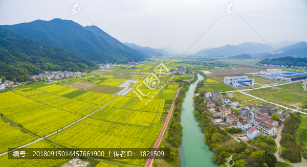 浙江,臺州,臨海,小溪鎮(zhèn),油菜花,小溪,稻田,春色,春天