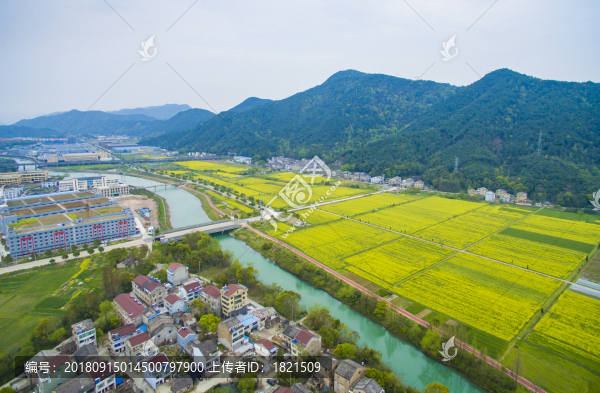 浙江,臺(tái)州,臨海,小溪鎮(zhèn),油菜花,小溪,稻田,春色,春天