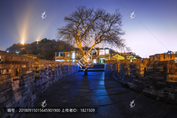浙江,臺州,臨海,江南長城,臺州府城墻,古建筑,古長城,古城,塔,龍興寺