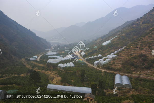 浙江,臺(tái)州,臨海,涌泉,南屏山,桔園,山村,村莊