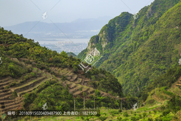 浙江,臺(tái)州,臨海,涌泉,南屏山,桔園,山村,村莊