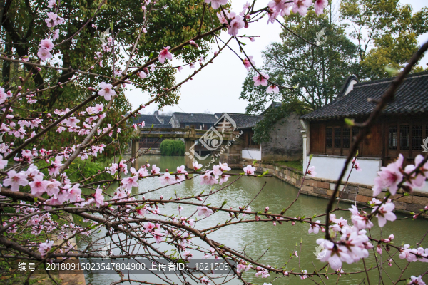 浙江,嘉興,桐鄉(xiāng),烏鎮(zhèn),西柵,白蓮塔,古橋,江南,水鄉(xiāng),古建筑,傳統(tǒng),民俗