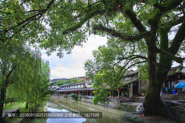 浙江,溫州,永嘉,楠溪江,芙蓉村,古村,古建筑,雨