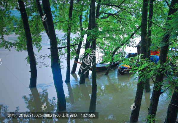 浙江,溫州,永嘉,楠溪江,芙蓉村,古村,古建筑,雨