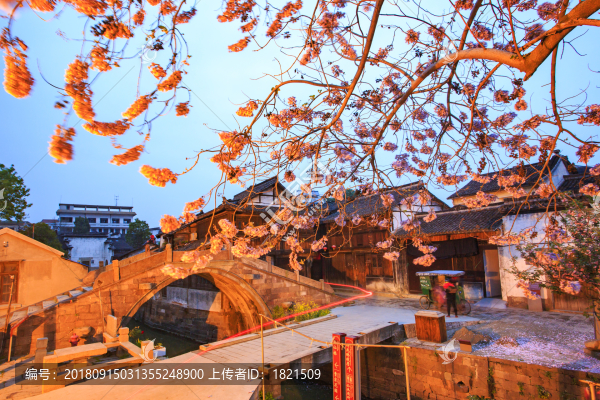 浙江,湖州,德清,新市古鎮(zhèn),老街,老房子,古建筑,水鄉(xiāng),江南
