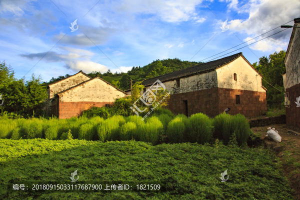 浙江,紹興,新昌,小將鎮(zhèn),山村,風(fēng)光,霞光,草甸,田園,平原,生態(tài)